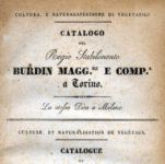 Catalogo del regio Stabilimento Burdin Magg.re e Comp.a a Torino